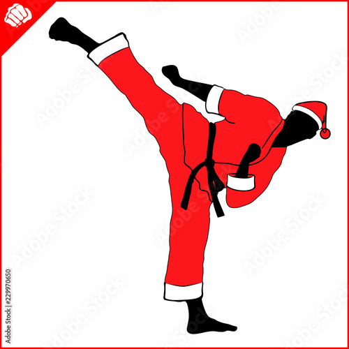 Karate New year