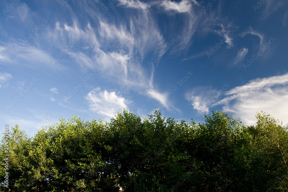 Fototapeta premium sky and clouds