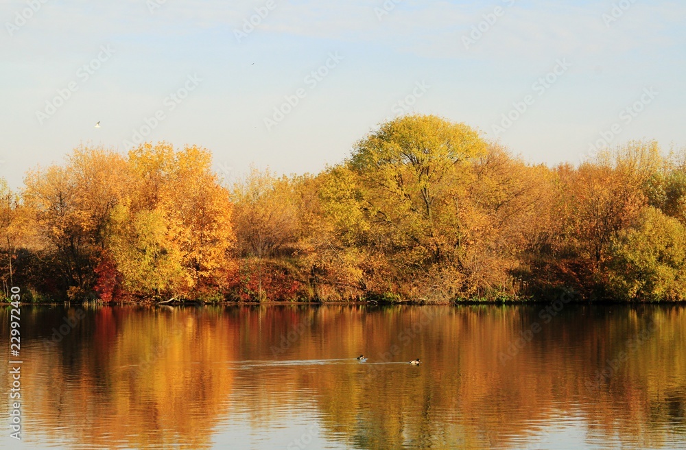 Autumn. Kolomenkoe. Autumn. Kolomenkoe.