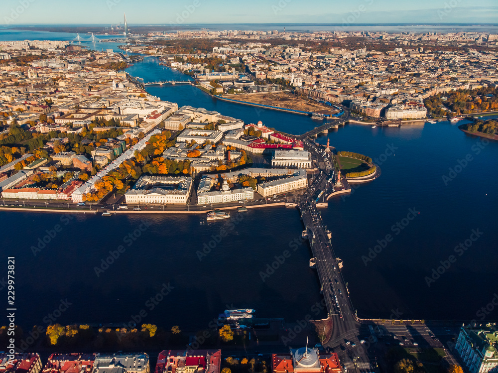 Neva river in early Sunny morning, Palace and other bridges, spit of Vasilievsky island, Rostral columns from bird's eye view.