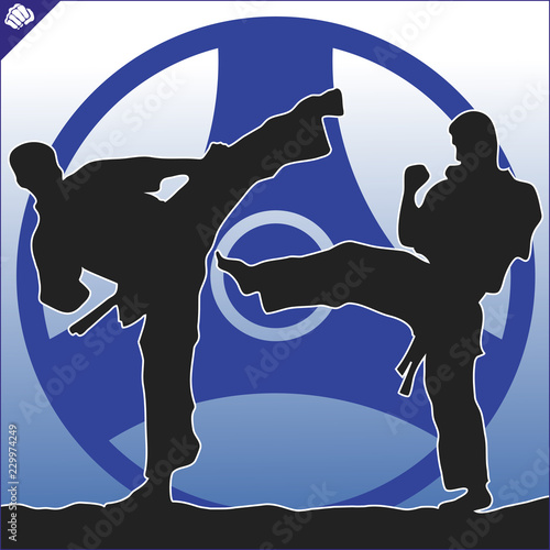 Martial arts. Karate fighter silhouette scene. Vector. Eps. photo