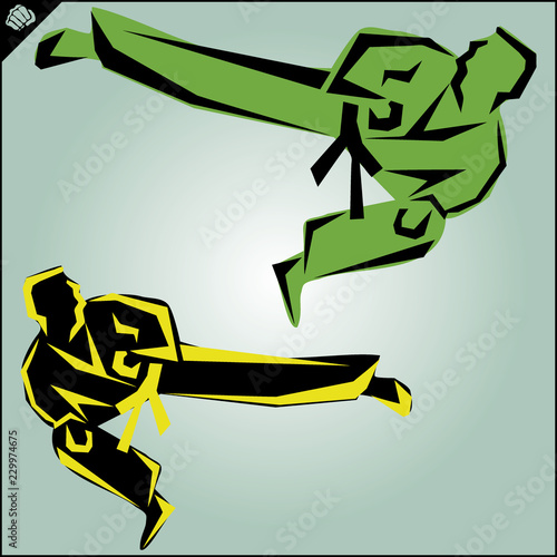 Martial arts. Karate fighter silhouette scene. Vector. Eps.
