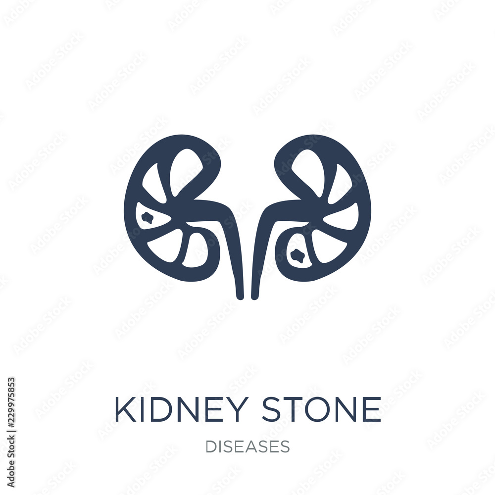 Kidney stone disease icon. Trendy flat vector Kidney stone disease icon ...