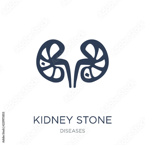 Kidney stone disease icon. Trendy flat vector Kidney stone disease icon on white background from Diseases collection