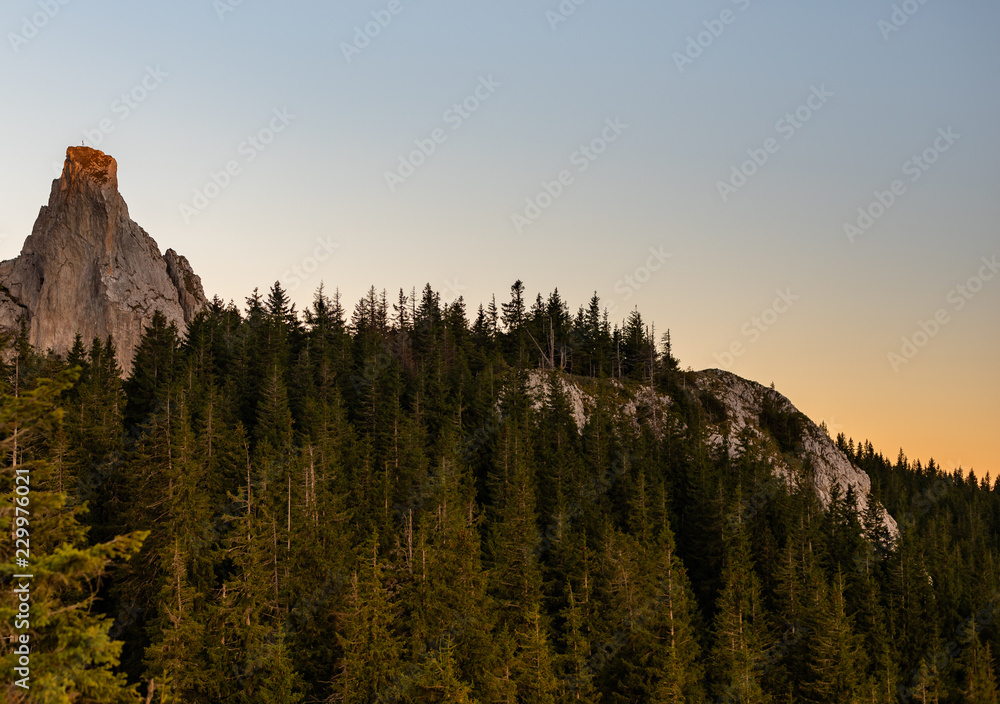 Forest and mountain peak at sunset 