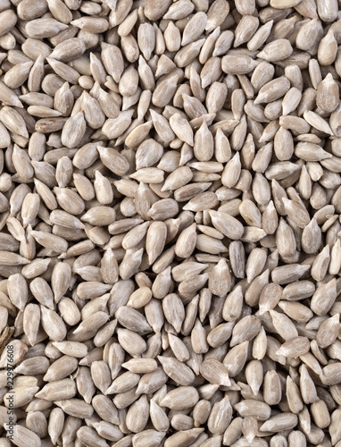 Sunflower Seeds Texture