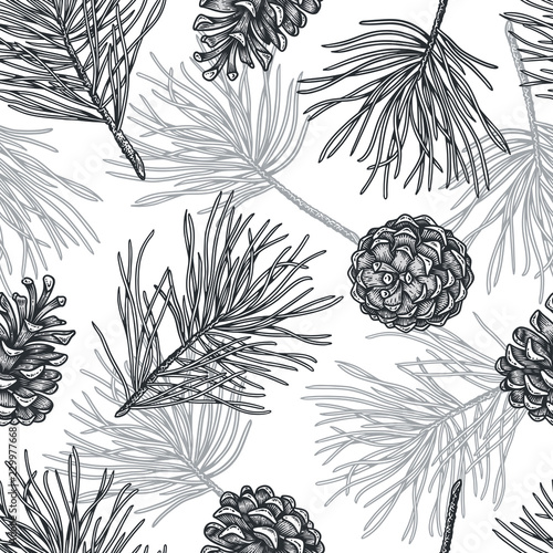 Hand draw engraving of a pine cone with cedar branches in a seamless pattern.
