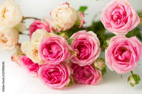  A bouquet of pink roses on a white background.