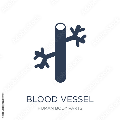Blood Vessel icon. Trendy flat vector Blood Vessel icon on white background from Human Body Parts collection