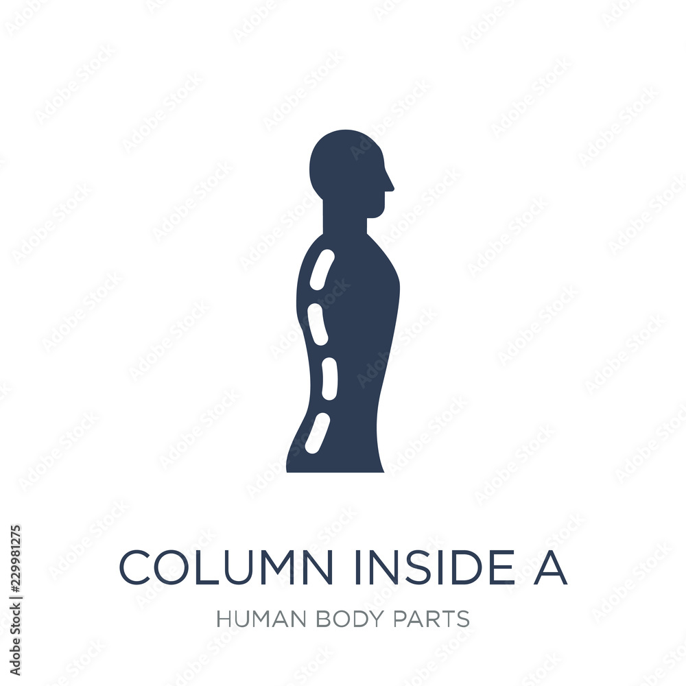 Column inside a male human body in side view icon. Trendy flat vector Column inside a male human body in side view icon on white background from Human Body Parts collection Column inside a male human body in side view icon. Trendy flat vector Column inside a male human body in side view icon on white background from Human Body Parts collection
