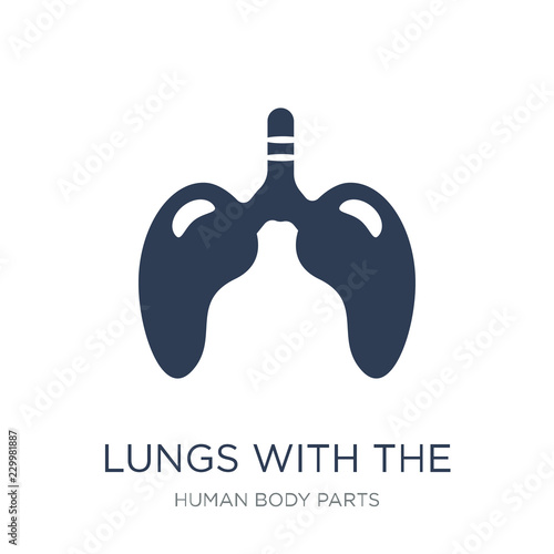 Lungs with the trachea icon. Trendy flat vector Lungs with the trachea icon on white background from Human Body Parts collection
