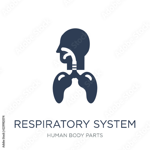 Respiratory System icon. Trendy flat vector Respiratory System icon on white background from Human Body Parts collection