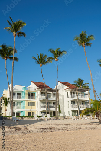Photo of multy-family coast houses near Atlantic Ocean on beach of Bavaro. Lots of palm trees are planted near house. Roofs of the buildings are darker than facades and are made of terracotta tiles. © dmitry_zubarev