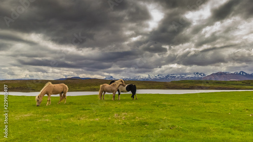 Iceland