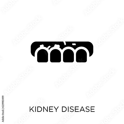 Kidney Disease (Chronic Kidney Disease) icon. Kidney Disease (Chronic Kidney Disease) symbol design from Diseases collection.
