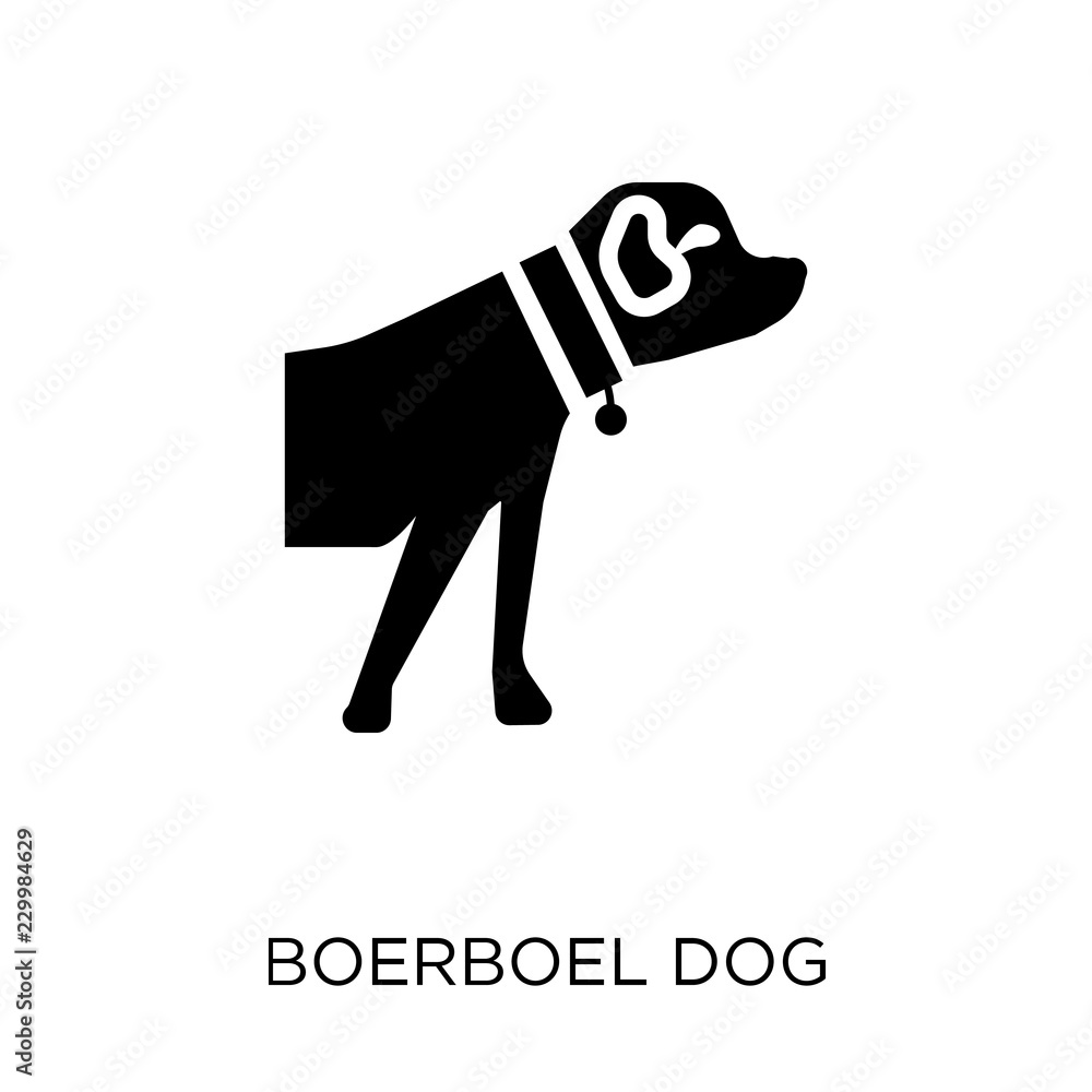Boerboel dog icon. Boerboel dog symbol design from Dogs collection. Boerboel dog icon. Boerboel dog symbol design from Dogs collection.