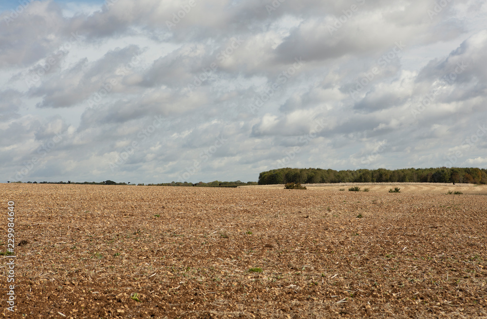 Fototapeta premium Martirene-Alcantara-Countryside-