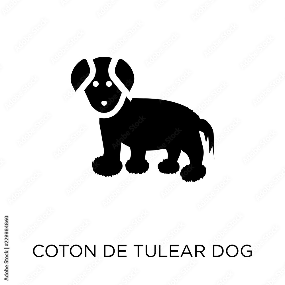 Fototapeta premium Coton De Tulear dog icon. Coton De Tulear dog symbol design from Dogs collection.