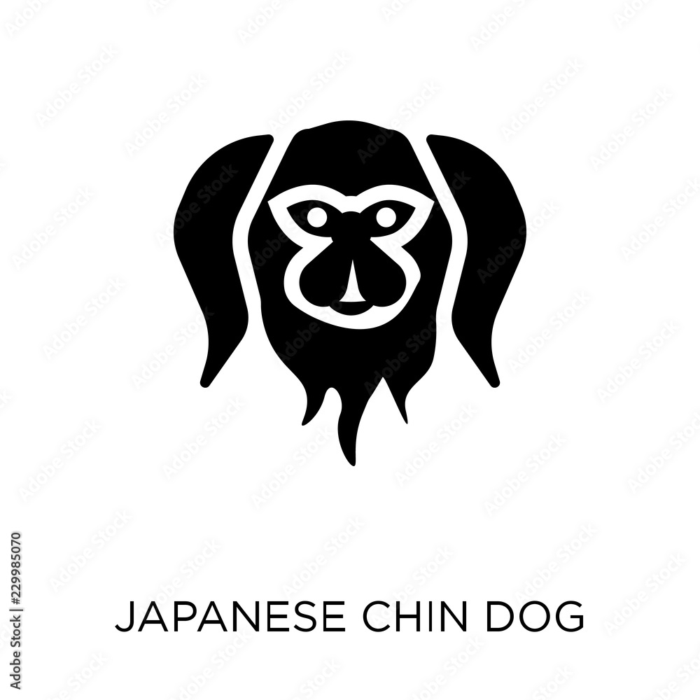 Obraz premium Japanese Chin dog icon. Japanese Chin dog symbol design from Dogs collection.