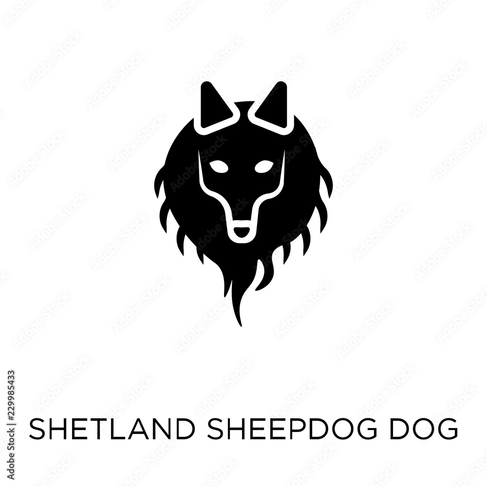 Shetland Sheepdog dog icon. Shetland Sheepdog dog symbol design from Dogs collection. Shetland Sheepdog dog icon. Shetland Sheepdog dog symbol design from Dogs collection.