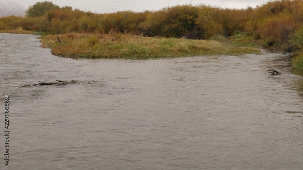 Fork in the river on a rainy day Fork in the river on a rainy day