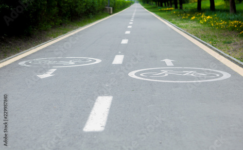 Wallpaper Mural Painted signs on asphalt for bicycle dedicated lanes. A separate bike path in the city Torontodigital.ca