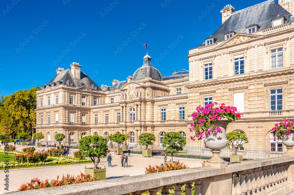 Obraz na płótnie Luxembourg Palace and garden in Paris, France w salonie