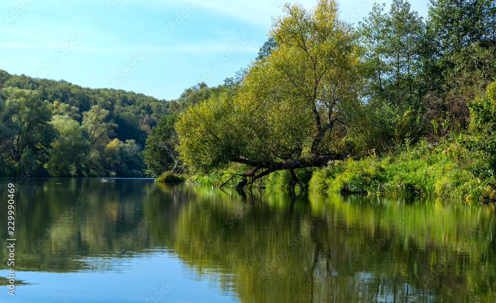 Autumn evening landscape with the river and a beautiful tree Autumn evening landscape with the river and a beautiful tree