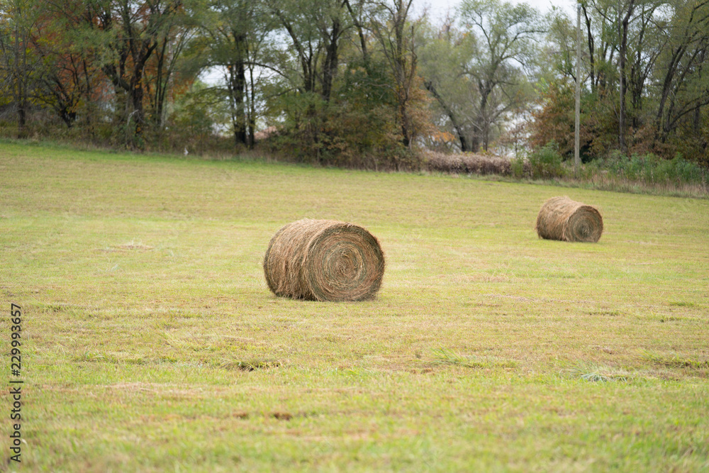 Hay Bale In Field