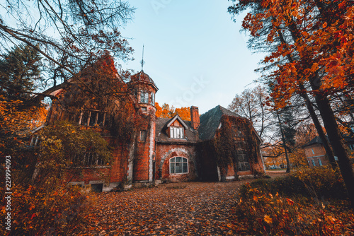 Manor house with trees in autumn colors and fall trees. Old Victorian Haunted House long abandoned to the ghosts. Abandoned house in autumn wood. photo