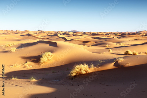 Moroccan desert