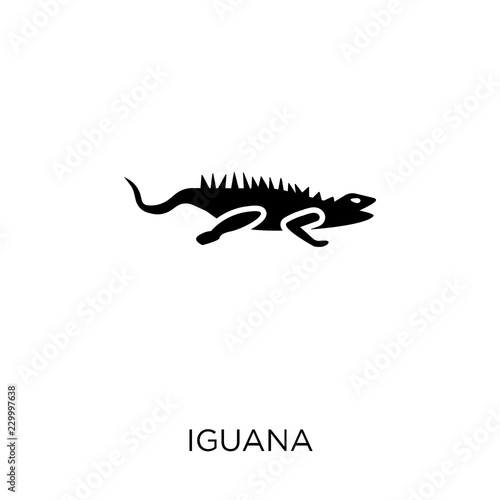 iguana icon. iguana symbol design from Animals collection.