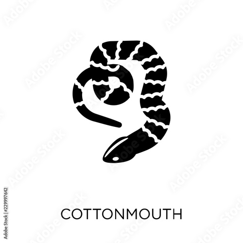 cottonmouth icon. cottonmouth symbol design from Animals collection.