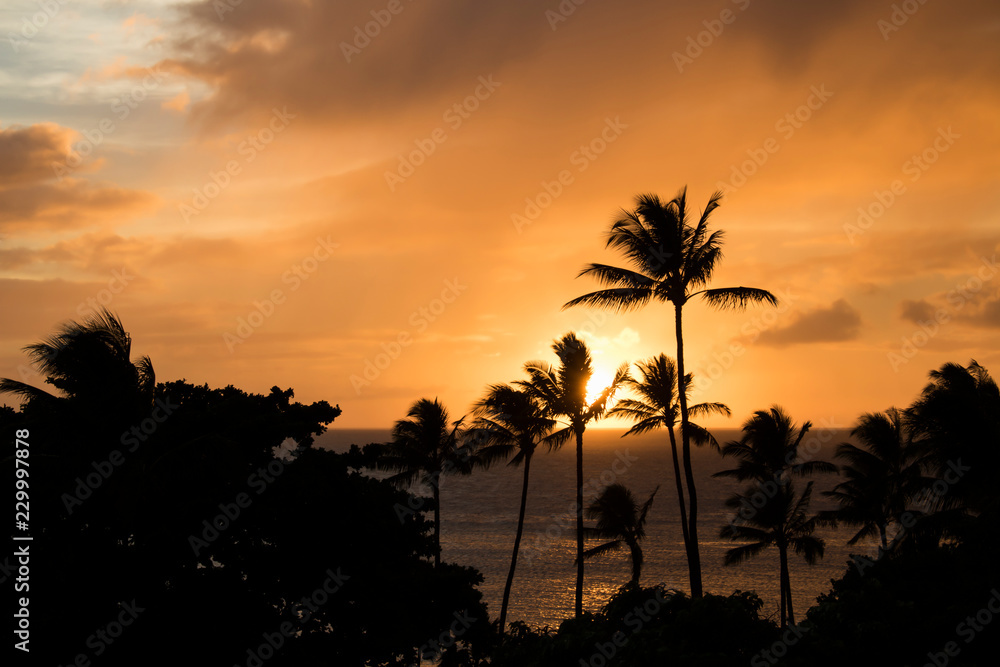 Orange Clouds at Sunset Reflecting on Ocean Surface with Palm Trees Silhouette