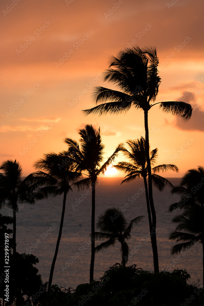 Obraz premium Vertical Sunset with Sun on Ocean Horizon and Palm Trees Silhouette