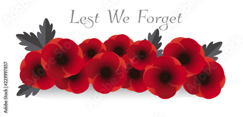 Remembrance day vector. Poppy flowers on white background illustration. 11th of November header illustration.