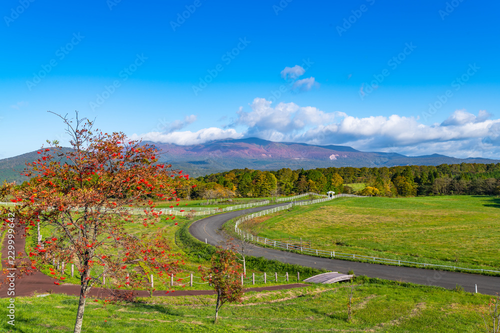 紅葉の栗駒山と高原の牧場