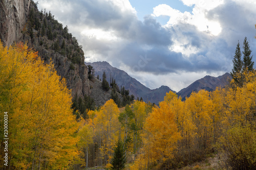 Autumn morning in the colorado mountains 