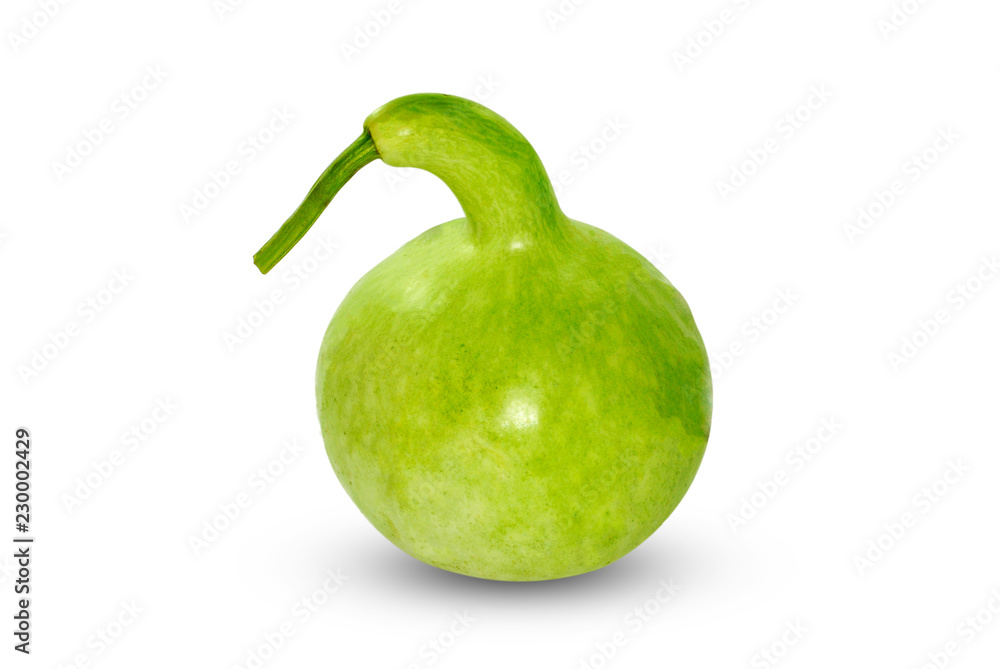 Bottle gourd, Calabash gourd isolated on white background Bottle gourd, Calabash gourd isolated on white background