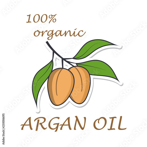 Argan tree branch flat icon. Sticker isolated on white background. Vector illustration.