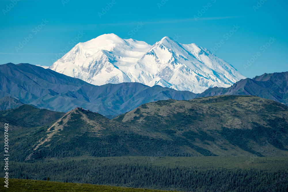 Denali National Park with the mountain (previously named Mt McKinley) in full view, with blue skies and forest wilderness in foreground