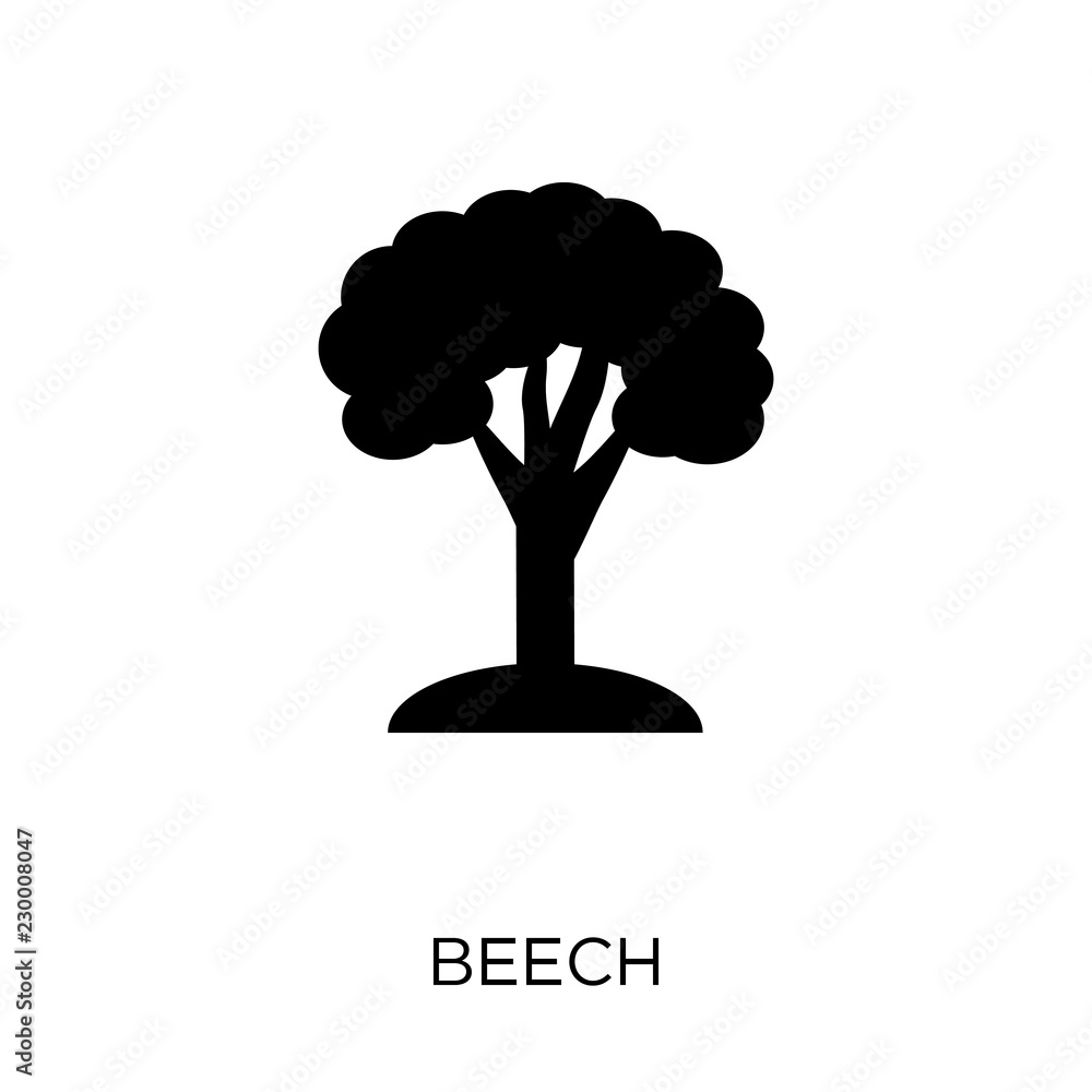Fototapeta Beech icon. Beech symbol design from Nature collection.