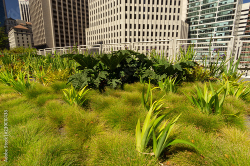 Garden on San Francisco's Transbay Terminal 