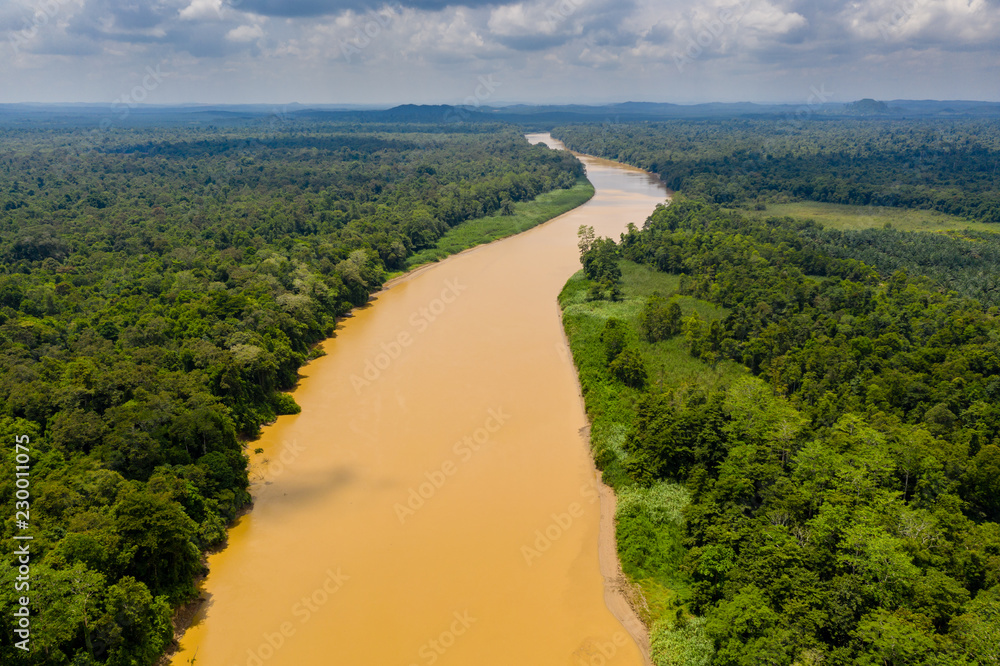 Aerial drone view of a long, brown winding river through tropical rainforest (Kinabatangan River, Borneo)