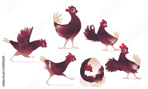 vector cartoon cute red brown chicken, roosters and chicks set. Bird animal characters learning to fly running, hugging eggsm showing okey gesture, waving wings in greeting.