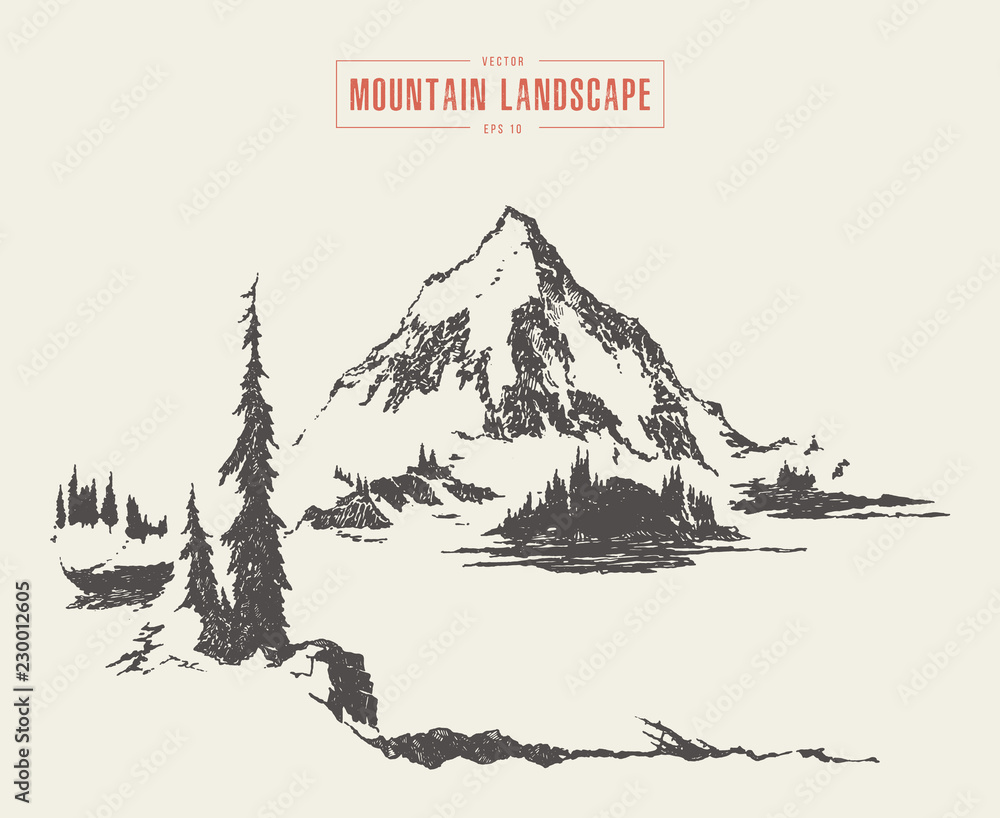 Vector of a mountain peak pine forest lake drawn