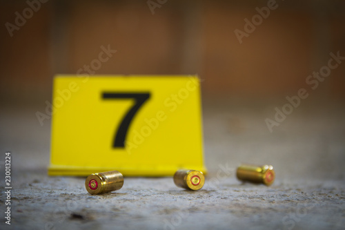 Crime scene. 9 mm bullet shells lying on the ground
