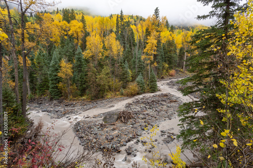 Fototapeta Naklejka Na Ścianę i Meble -  Colorado mountain rocky stream in fall colors aspens fir