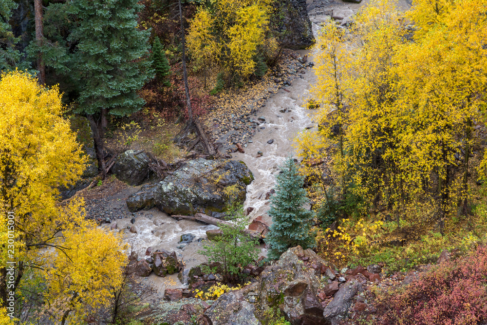Colorado mountain rocky stream in fall colors aspens fir
