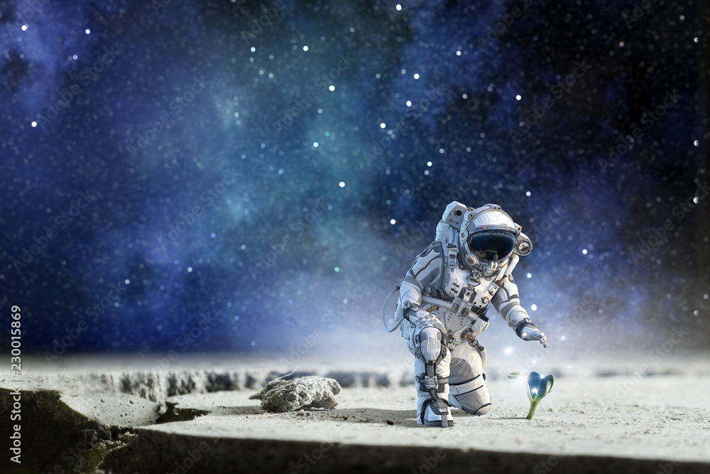 There is life on moon. Mixed media There is life on moon. Mixed media